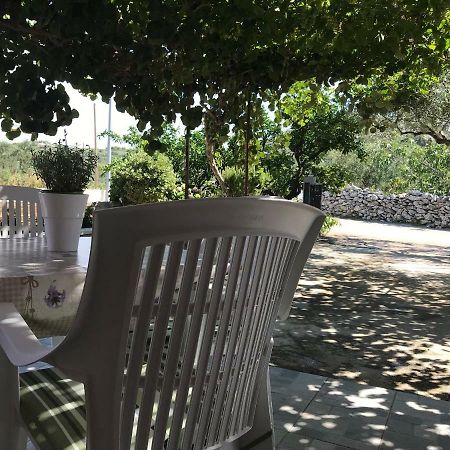 Donji Okrug  Apartman Mirjana With Terrace And Free Parking מראה חיצוני תמונה
